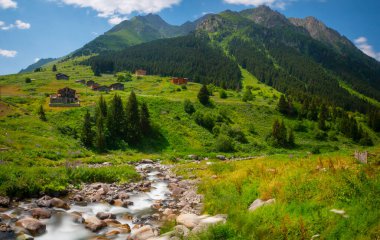 Elevit Yaylası (Çamlıhemşin / Rize / Türkiye)