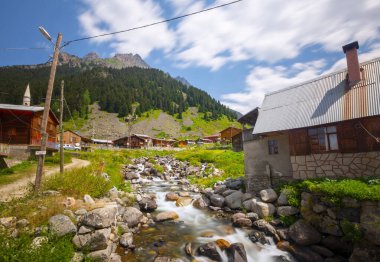 Elevit Yaylası (Çamlıhemşin / Rize / Türkiye)