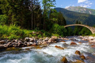 Rize 'deki eski taş köprüler