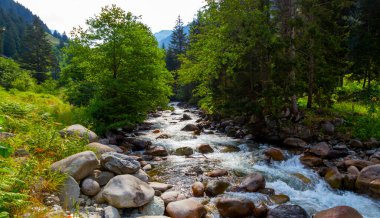 Rize 'deki eski taş köprüler