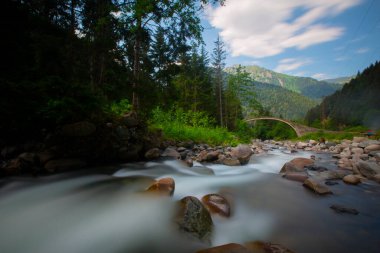 Rize 'deki eski taş köprüler