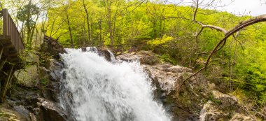 Ormanda şelale manzarası. Erikli şelalesi, Yalova.