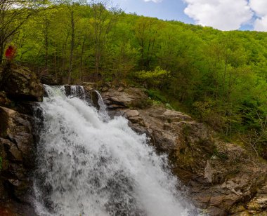 Ormanda şelale manzarası. Erikli şelalesi, Yalova.