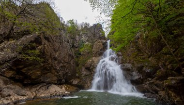 Ormanda şelale manzarası. Erikli şelalesi, Yalova.
