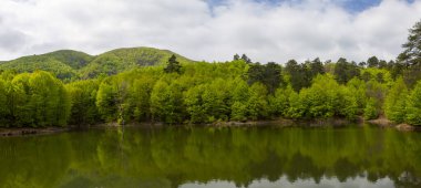 İstanbul, Türkiye 'deki Belgrad Ormanı