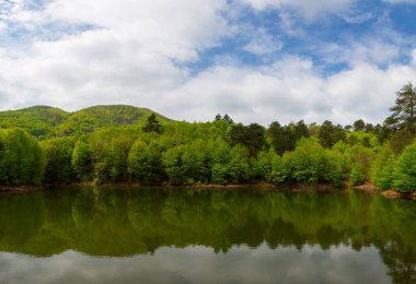 İstanbul, Türkiye 'deki Belgrad Ormanı