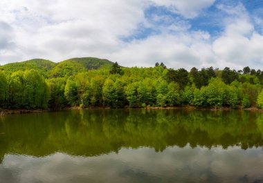 İstanbul, Türkiye 'deki Belgrad Ormanı