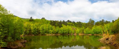 İstanbul, Türkiye 'deki Belgrad Ormanı