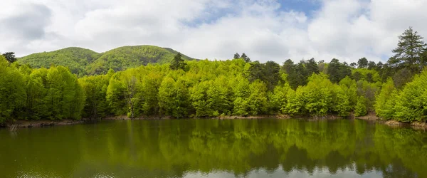 Foresta Belgrad Istanbul Turchia — Foto Stock