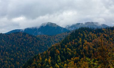 Sonbahar ormanı, renkli tepelerde çok sayıda ağaç, Yenice Ormanı Doğa Parkı, Karabuk, Türkiye.