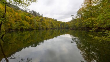 Yedigoller Ulusal Parkı 'ndaki (yedi gölde) ahşap evle güzel sonbahar manzarası. Bolu, Türkiye 'nin kuzeybatısında bir ildir..