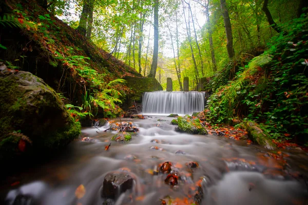 Beautiful Autumn Views Wooden House Seven Lakes Yedigoller National Park — Foto Stock