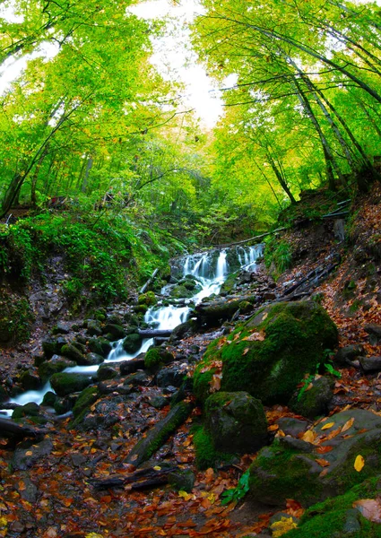 Piękne Widoki Jesienią Drewnianym Domem Siedem Jezior Park Narodowy Yedigoller — Zdjęcie stockowe