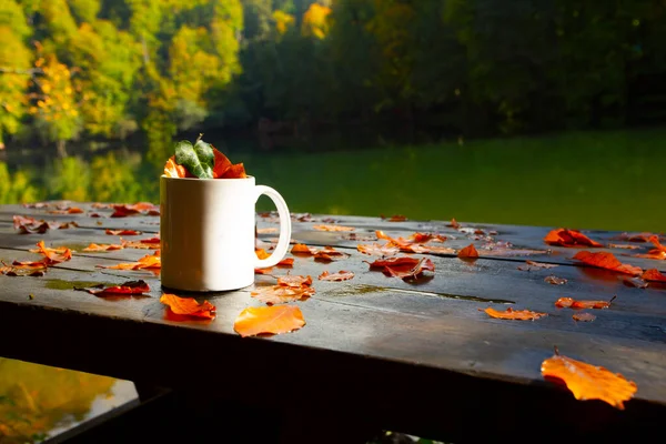 Autumn and coffee mug .