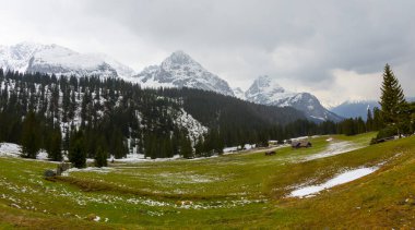 Avusturya, Carinthia 'daki Sinacher Gupf' tan Karawanks 'ın karla kaplı zirvelerinin manzarası. Hochstuhl Dağı (Stol), ilkbaharın başlarında sık ormanlardan görülebilir. Güneşli bir günde Rosental. Özgürlük