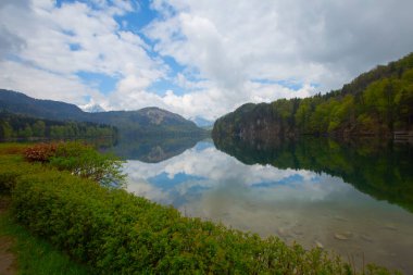 Popüler Alpsee Gölü 'nün güzel panoramik manzarası korunan bir orman manzarasıyla çevrilidir. Alpler arka planda, Almanya' nın Bavyera eyaletinin Ostallgu ilçesinde mavi bir gökyüzünün altında..