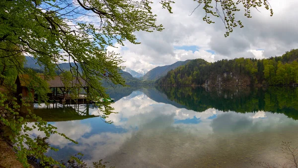 Beautiful Panoramic View Popular Alpsee Lake Surrounded Protected Forest Landscape — Stock Photo, Image