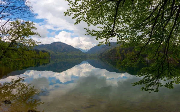 Una Hermosa Vista Panorámica Del Popular Lago Alpsee Rodeado Paisaje —  Fotos de Stock