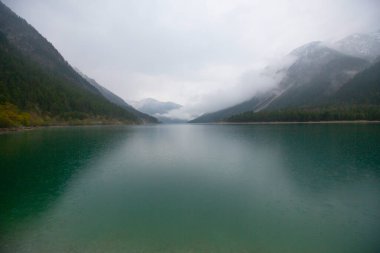Top 'tan Avusturya Plansee Gölü' ne, turkuaz sularına ve derin yeşil ormanlara doğal bir tatil noktası olarak bakın.
