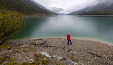 Top 'tan Avusturya Plansee Gölü' ne, turkuaz sularına ve derin yeşil ormanlara doğal bir tatil noktası olarak bakın.