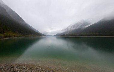 Top 'tan Avusturya Plansee Gölü' ne, turkuaz sularına ve derin yeşil ormanlara doğal bir tatil noktası olarak bakın.