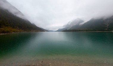 Top 'tan Avusturya Plansee Gölü' ne, turkuaz sularına ve derin yeşil ormanlara doğal bir tatil noktası olarak bakın.