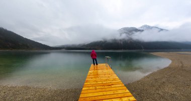 Top 'tan Avusturya Plansee Gölü' ne, turkuaz sularına ve derin yeşil ormanlara doğal bir tatil noktası olarak bakın.