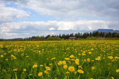 Hegratsrieder Kilisesi Bir sonbahar sabahı göle bakın, Ostallgu, Bavyera, Almanya