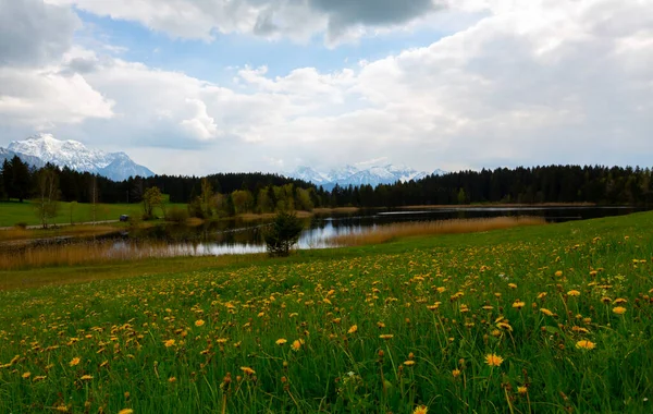 Chapelle Hegratsrieder Voir Lac Matin Automne Ostallgu Bavière Allemagne — Photo