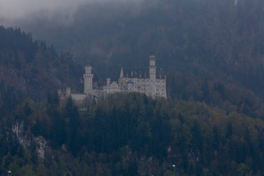 Yaz peyzaj - görünüm ünlü turistik cazibe Bavyera Alpleri'nde - 19. yüzyıl neuschwanstein Şatosu.