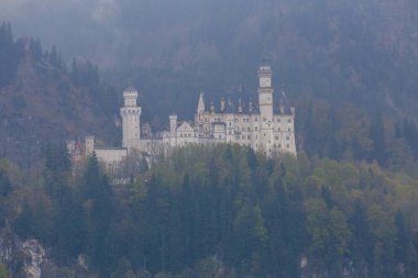 Yaz peyzaj - görünüm ünlü turistik cazibe Bavyera Alpleri'nde - 19. yüzyıl neuschwanstein Şatosu.