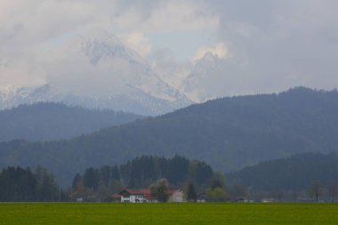 Yaz peyzaj - görünüm ünlü turistik cazibe Bavyera Alpleri'nde - 19. yüzyıl neuschwanstein Şatosu.