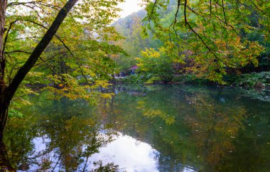 Yedigoller Ulusal Parkı Bolu, Türkiye 'de sonbahar manzarası (yedi göl)