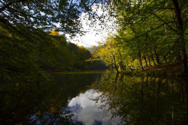 Yedigoller Ulusal Parkı Bolu, Türkiye 'de sonbahar manzarası (yedi göl)