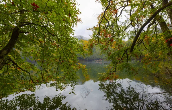 Høstlandskap Sju Innsjøer Yedigoller Nasjonalpark Bolu Tyrkia – stockfoto