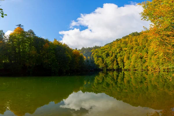 土耳其博卢Yedigoller国家公园秋季景观 7个湖泊 — 图库照片