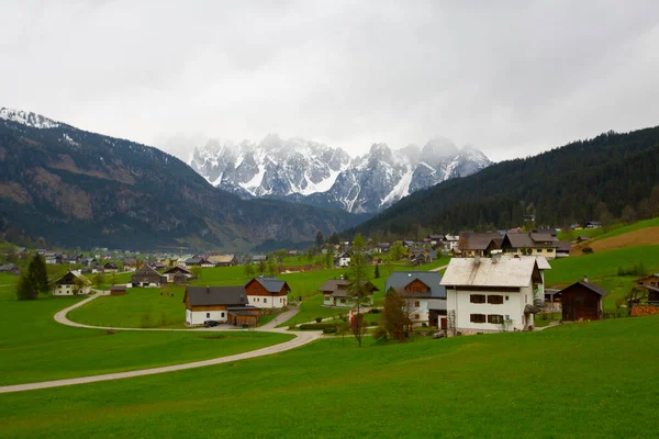 Alpine Groene Velden Traditionele Houten Huizen Uitzicht Het Dorp Gosau — Stockfoto