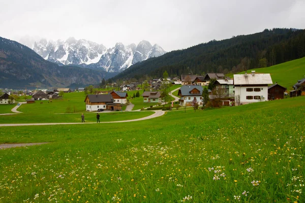 Alpine Groene Velden Traditionele Houten Huizen Uitzicht Het Dorp Gosau — Stockfoto