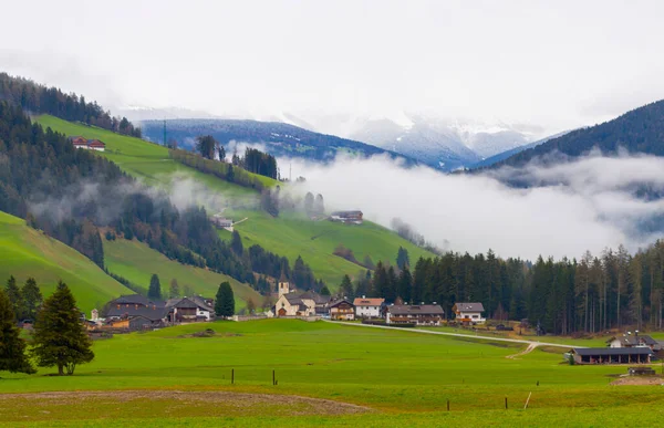 Alpine Groene Velden Traditionele Houten Huizen Uitzicht Het Dorp Gosau — Stockfoto