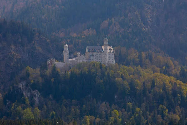 Vacker Utsikt Över Världsberömda Neuschwanstein Slott Det Nittonde Talet Romanska — Stockfoto