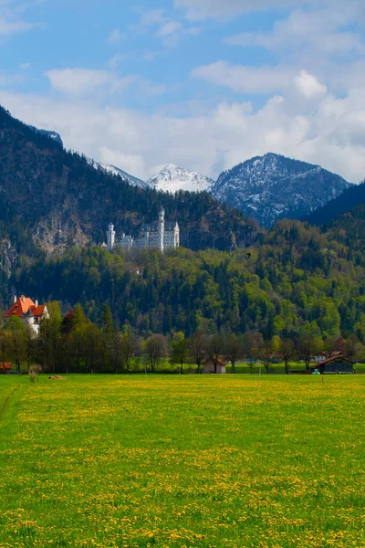 Krásný Výhled Světoznámý Zámek Neuschwanstein Románský Palác Devatenáctého Století Postavený — Stock fotografie