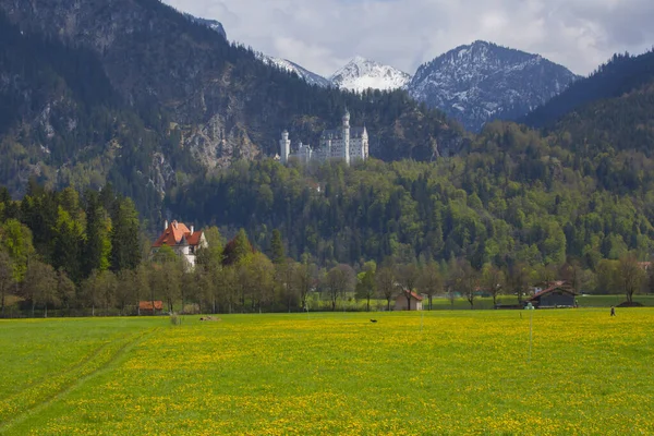 Krásný Výhled Světoznámý Zámek Neuschwanstein Románský Palác Devatenáctého Století Postavený — Stock fotografie