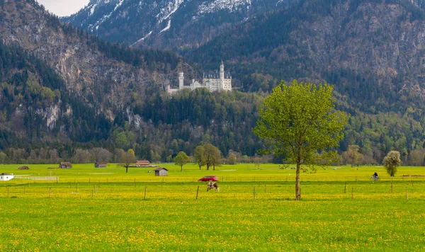 Neuschwanstein Castle Fussen Bavaria Germany — ストック写真