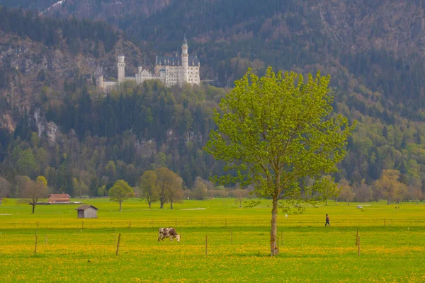 Castello Neuschwanstein Fussen Baviera Germania — Foto Stock