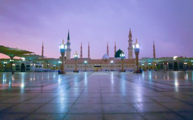 Jannat el-Beki (Baqi Bahçesi), Suudi Arabistan 'ın başkenti Medine' de Mescid-i Haram 'ın güneydoğusunda yer alan bir mezarlıktır.).