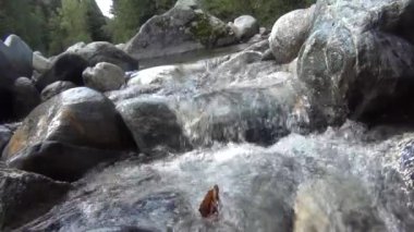 Güçlü şeffaf bir deresi olan vahşi bir dağ nehri. Akıntıda kaya parçaları olan geveze bir akıntının detaylı statik görüntüsü. Hızla akan suda kayalar..