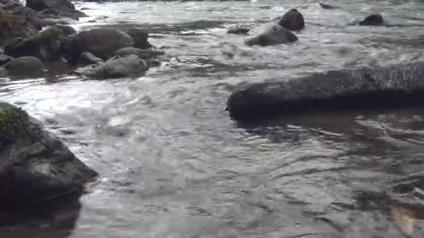 Jelas aliran berjalan di atas batu batu batu batu di sungai. Sebuah sungai badai mengalir sepanjang dasar batu. — Stok Video