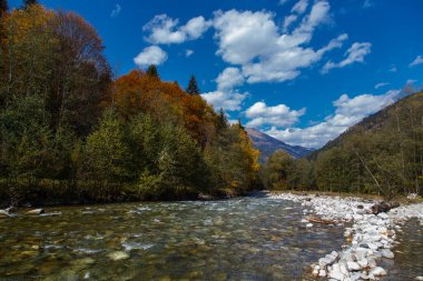 Dağ nehri renkli sonbahar ormanlarıyla çevrili. Açık bir sonbahar gününde mavi gökyüzü. Rusya, Kafkasya, Karachay-Çerkesya, Damkhurts Nehri