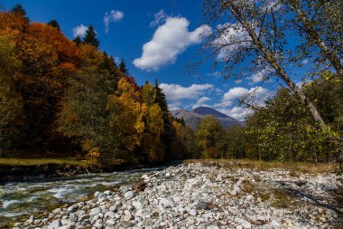 Dağ nehri renkli sonbahar ormanlarıyla çevrili. Açık bir sonbahar gününde mavi gökyüzü. Rusya, Kafkasya, Karachay-Çerkesya, Damkhurts Nehri