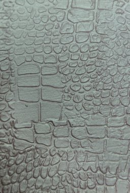 doku Dekoratif Sıva timsah